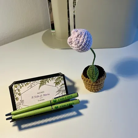 Il Nido Di Maria Appartement